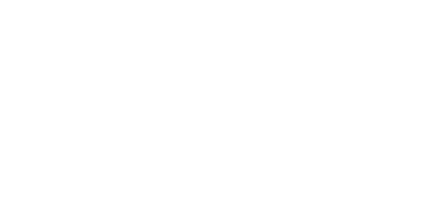 넷엔트 logo